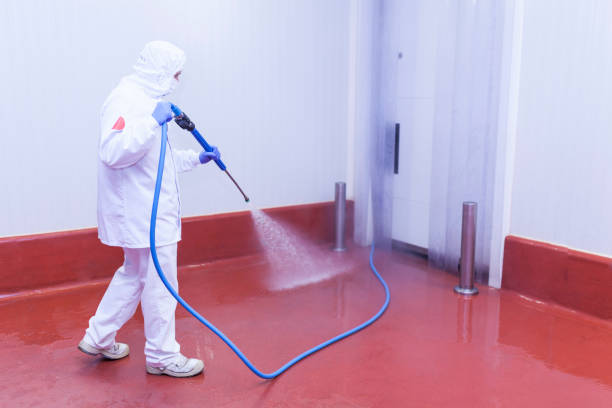 Best Paint Preparation  in Dacula, GA
